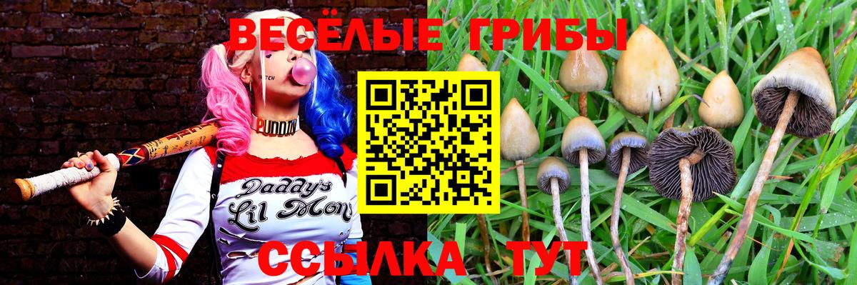 Нефтеюганск  Псилоцибиновые грибы GOLDEN TEACHER  Вход с VPN 